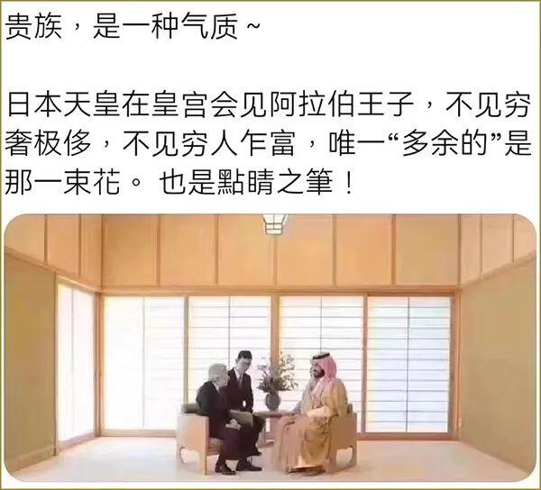 贵族，是一种气质：日本天皇在皇宫会见阿拉伯王子，不见穷奢极侈，不见穷人乍富﹐唯一多余的是那一束花。也是黠睛之笔!
