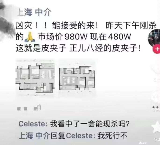 上海中介：能接受的来！昨天下午刚杀的，市场价980W现在480w，这就是皮夹子，正儿八经的皮夹子！