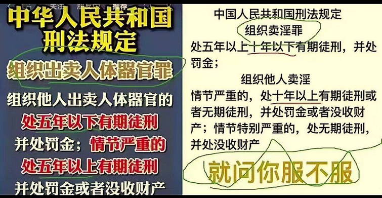 就问你服不服：组织出卖人体器官处五年以下有期徒刑；组织卖淫处五年以上十年以下有期徒刑