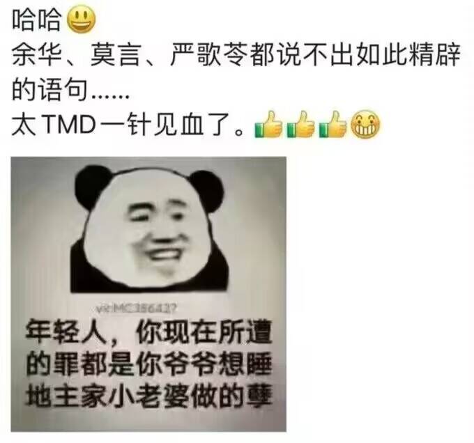 年轻人，你现在所遭的罪都是你爷爷想睡地主家小老婆做的孽，太TMD一针见血了