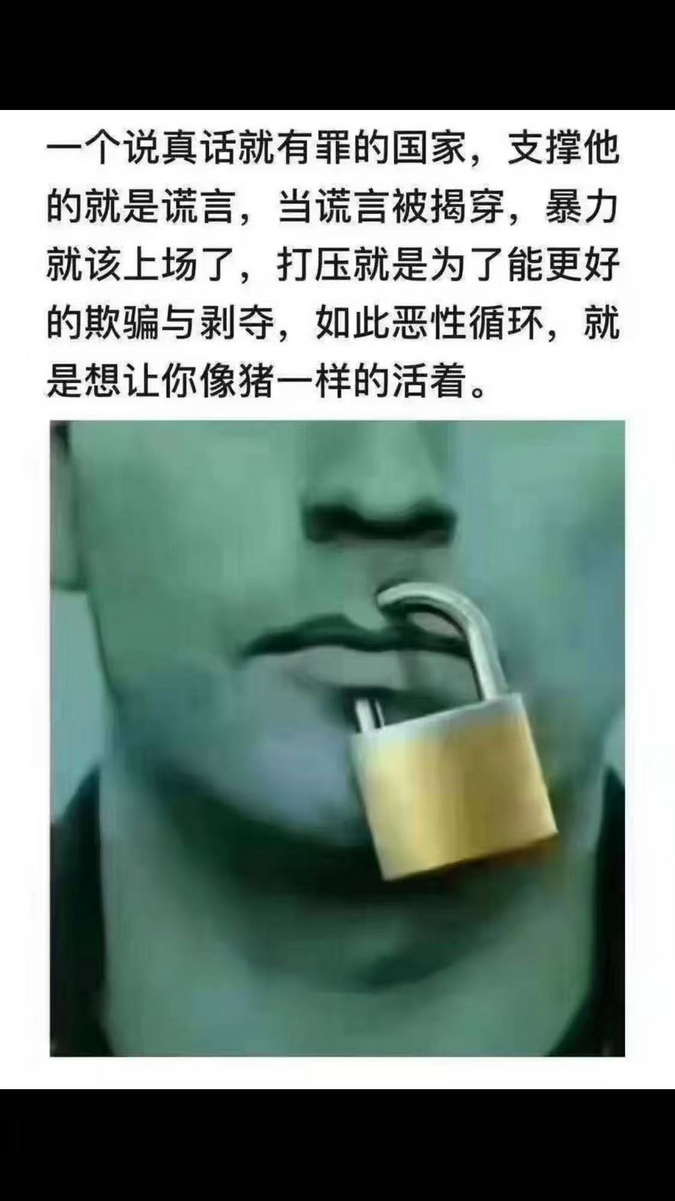 一个说真话就有罪的国家,支撑他的就是谎言,当谎言被揭穿,暴力就该上场了,