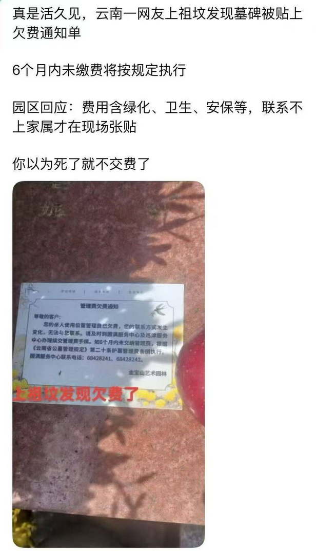 你以为死了就不交费了：云南一网友祖坟被贴上欠费通知单