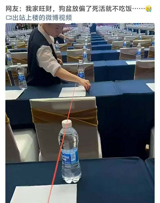 网友：我家旺财，狗盆放偏了死活就不吃饭......