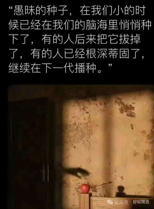 愚昧的种子，在我们小的时候已经在我们的脑海里悄悄种下了，