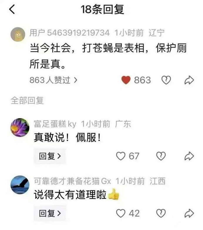 当今社会，打苍蝇是表相，保护厕所是真。