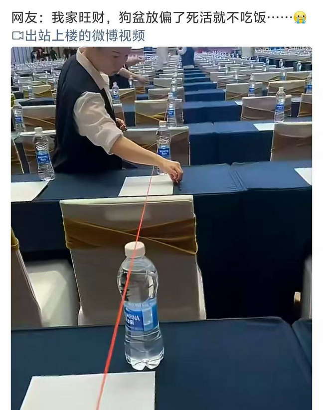 我家旺财，狗盆放偏了死活就不吃饭.....