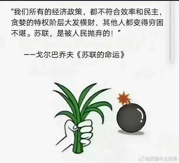 戈尔巴乔夫《苏联的命运》