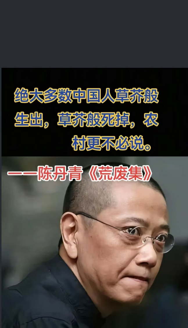 绝大多数中国人草芥般生出，草芥般死掉，农村更不必说。—陈丹青《荒废集》