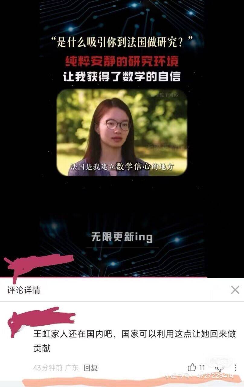 网友：王虹家人还在国内吧，国家可以利用这点让她回来做贡献